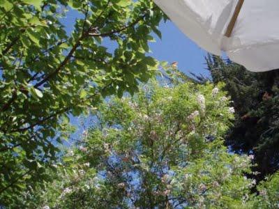 Une semaine de vacances sur le littoral