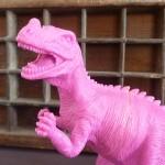 Les dinosaures : grrrrr !!!!