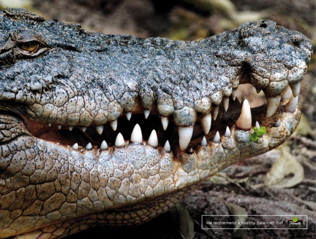 Florette-Crocodile-bout de salade coincé entre les dents