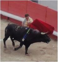 A notre guerrière danse !