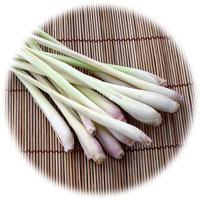 Globe Cookeuse en Asie : Cambodge