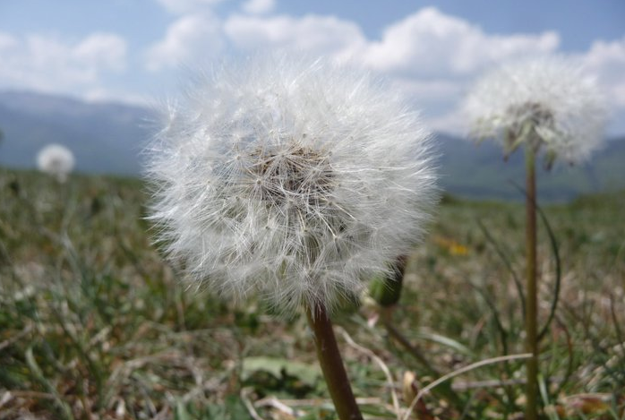 Pessah à Divonne-les-Bains