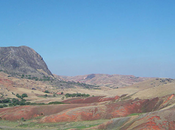 déforestation entraîne modification l'albédo