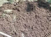 Confection d'une lasagne... suite