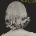 Yellow Ostrich