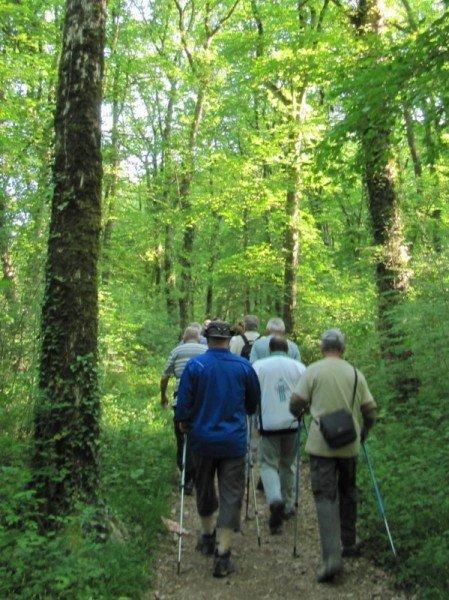 À Faulquemont, une marche sous le soleil ! Des amateurs de marche nordique à Faulquemont