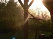 Difficile séparation, hier matin ....