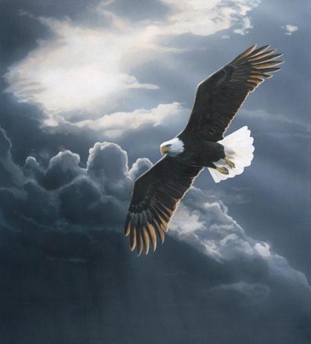 Quand France Télécom allume le feu