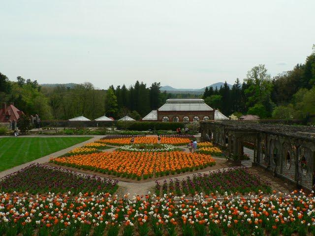 Jardins de Biltmore Estate  2011: Tulipes