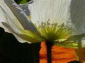 côté d'ailleurs...