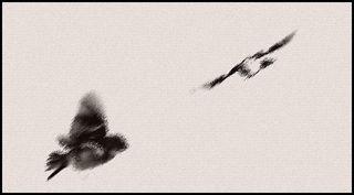 Il passe oiseau -ph-m-re comme la pr-carit- de l-amour