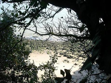 ça aurait pu être le paradis ça aurait pu être le paradis