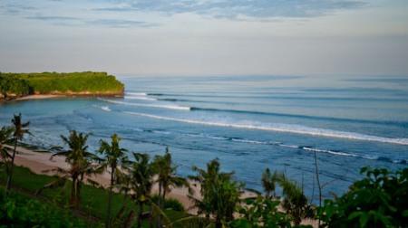 Bali Waves