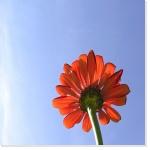 Expat Forever a un an !