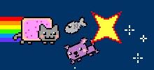 http://www.mad4flash.com/games/images/nyan-cat.jpg