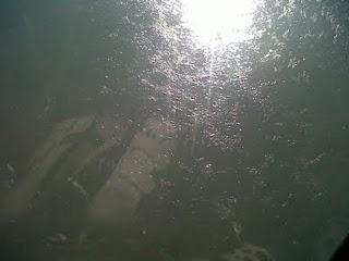 chasse aux oeufs à la Bastille