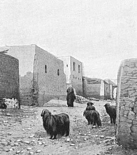 Village d'Abydos