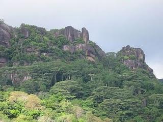 Réserve naturelle de la vallée de Mai - Seychelles