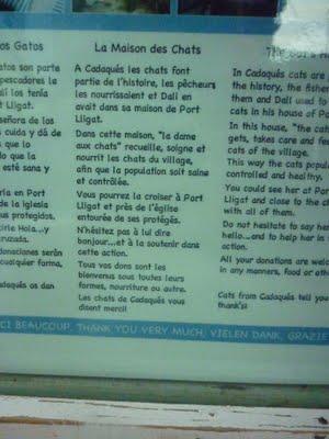 On recherche la mémé aux chats