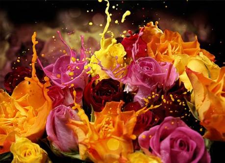 Photoshop : Un bouquet de rose suréel