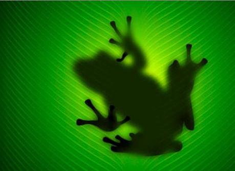 Photoshop : La création d'une grenouille