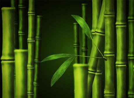 Bambou dans Photoshop