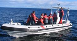 Croisières aux baleines Tadoussac - Achat en ligne