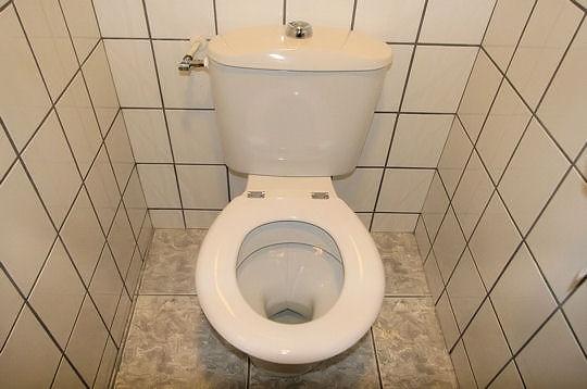 facho pour la saison