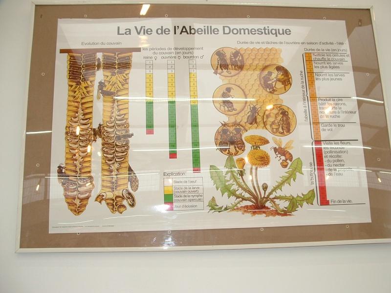 Image hébergée par servimg.com