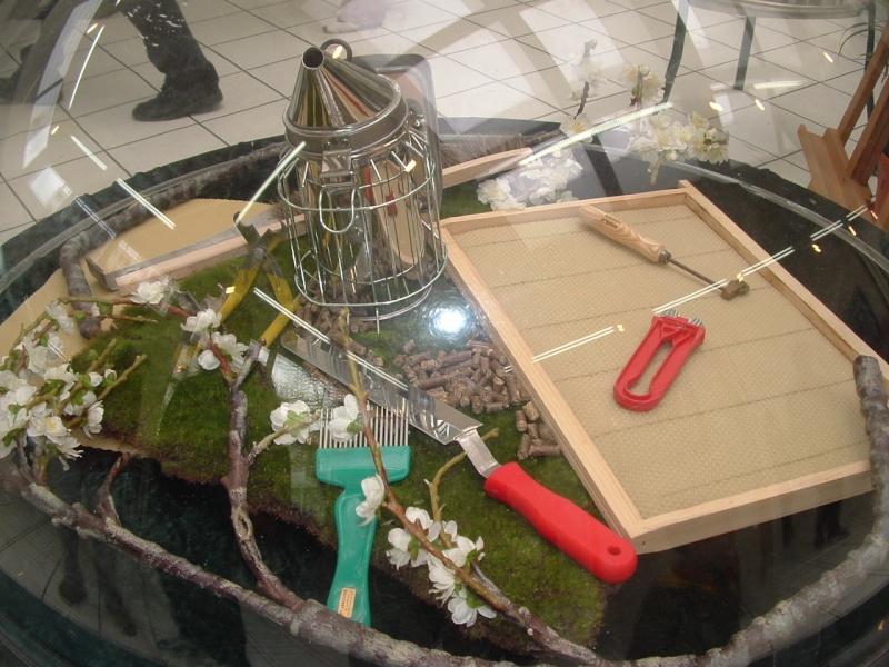 Image hébergée par servimg.com