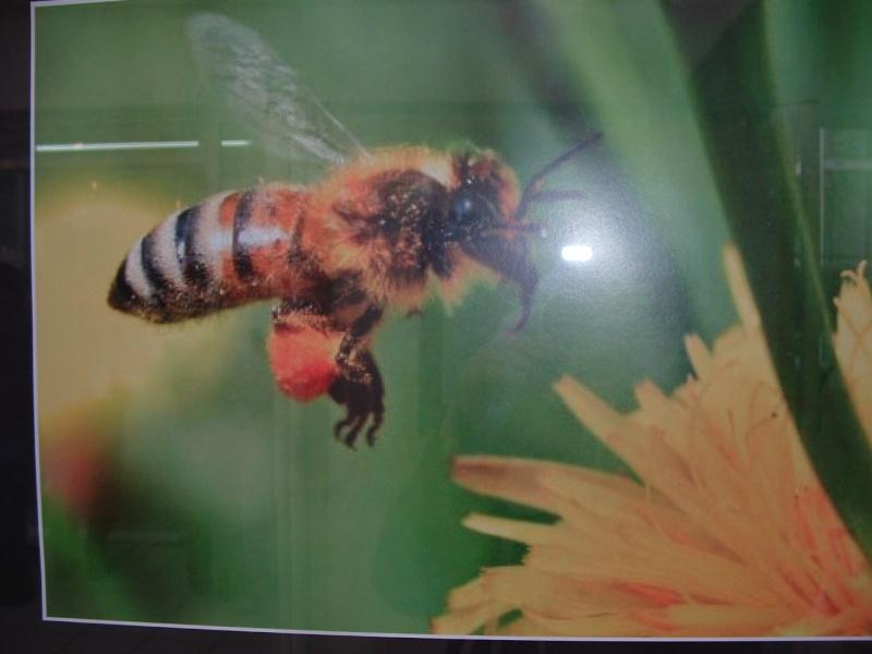 Image hébergée par servimg.com