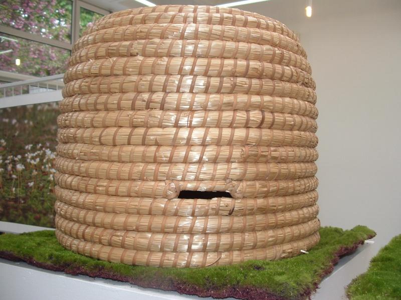 Image hébergée par servimg.com