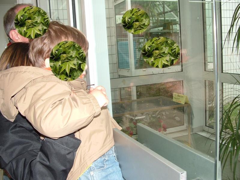 Image hébergée par servimg.com