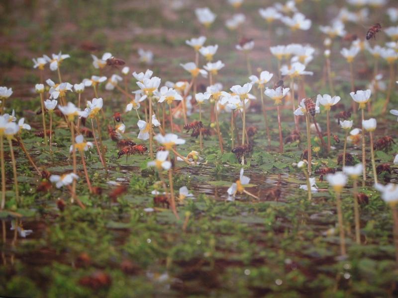 Image hébergée par servimg.com