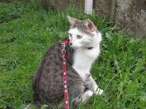 200558_1959916316632_1204505582_2399791_6403740_n