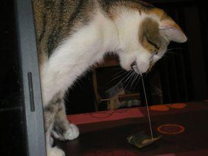 24107_1389825144709_1204505582_1153709_6389020_n