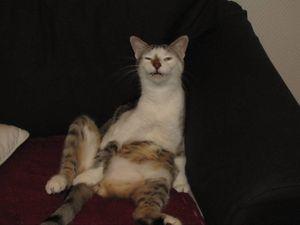 67395_1682713146726_1204505582_1886806_8311932_n