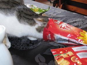 27819_1459897536475_1204505582_1325940_4736248_n