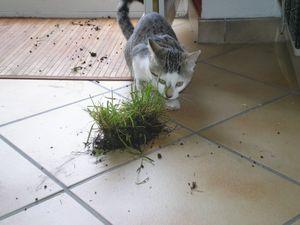 7317_1242496661589_1204505582_737719_3180053_n