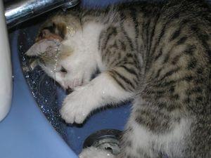 n1204505582_574540_5281504