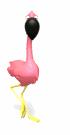 Ateliers d’écriture : « Francis Mizio’s pink flamingo » !