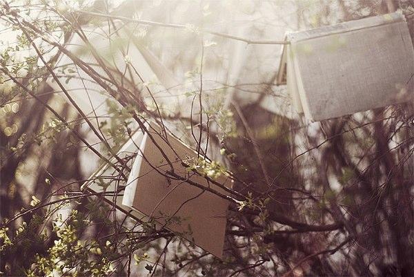 Comment je suis devenue Lectrice