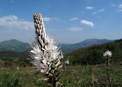 Pays Basque (1) : montagnes
