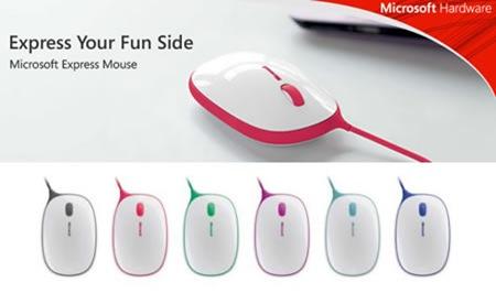 microsoft-express-mouse