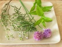 Quels sont les bienfaits des aromates ?