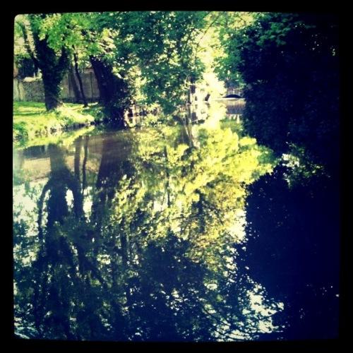 Photos vrac et petite question