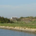 Camargue