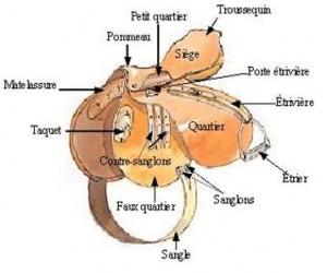 parties de la selle