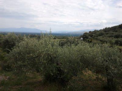 c'est demain dimanche