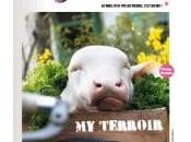 Elle née…. feuille chou